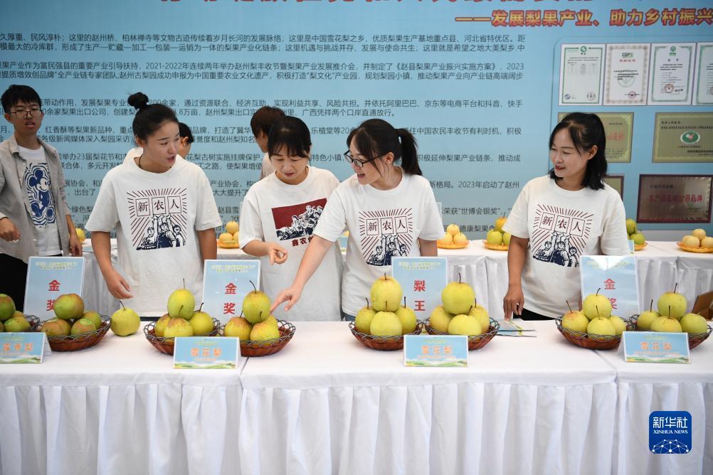 必赢www272.net
